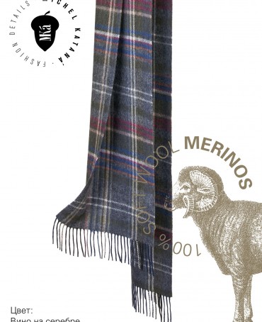 Шарф Унисекс FTQ.W220_GZ-744/BEAM